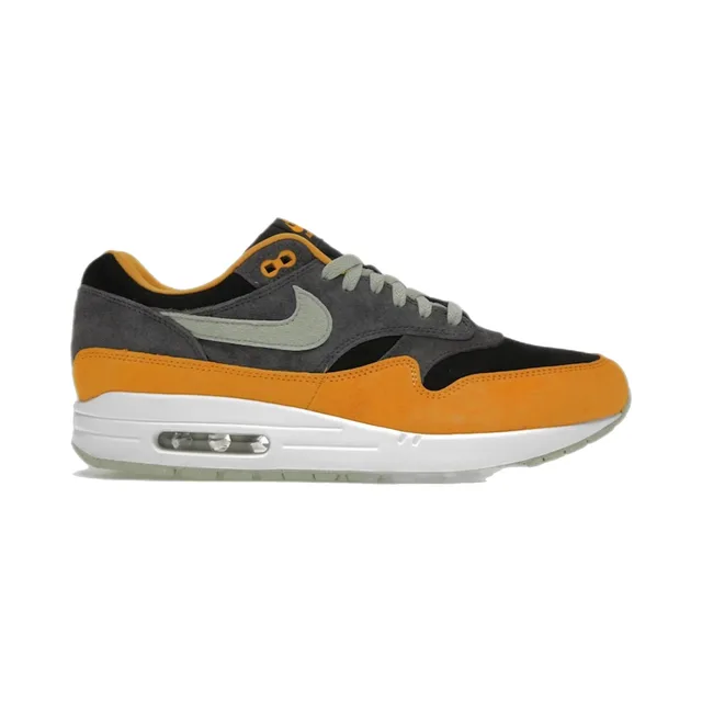 Baskets Nike Air Max 1 PRM Duck Anthracite