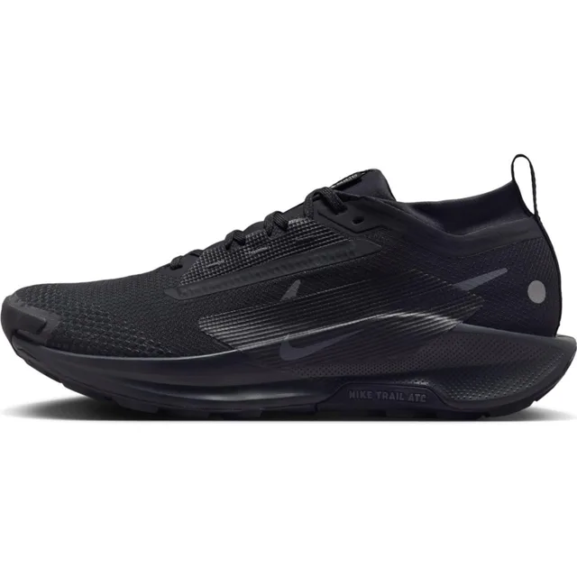 Nike Pegasus Trail 5 Gore-Tex M Chaussures homme