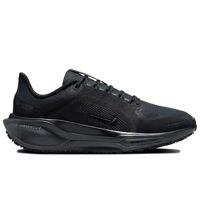 Nike Pegasus 41 GORE-TEX Women