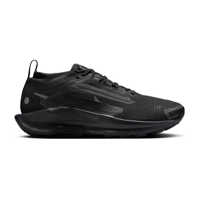 Chaussures de trail femme Nike Pegasus Trail 5 GORE-TEX - Noir