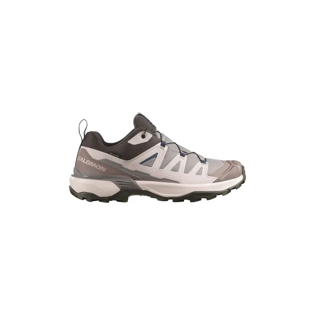 Chaussures Montagne Salomon X Ultra 360 GTX Silver Cloud Homme