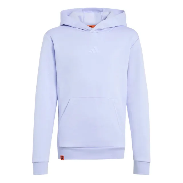 Hoodie adidas Minecraft Terrex - Randonnée - Kids